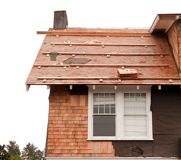 Best Siding Repair  in Rushville, NE